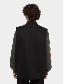 Жилет Dickies x Spitfire модель DK0A865PBLK1 Фото