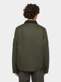 Демисезонная куртка Dickies x Spitfire модель DK0A865Q0OG1 Фото