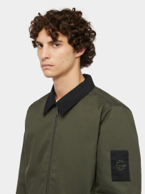 Демисезонная куртка Dickies x Spitfire модель DK0A865Q0OG1 Фото