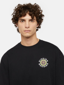 Футболка Dickies  x Spitfire модель DK0A865TBLK1 Фото