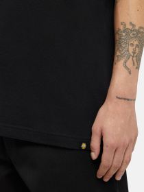 Футболка Dickies  x Spitfire модель DK0A865TBLK1 Фото