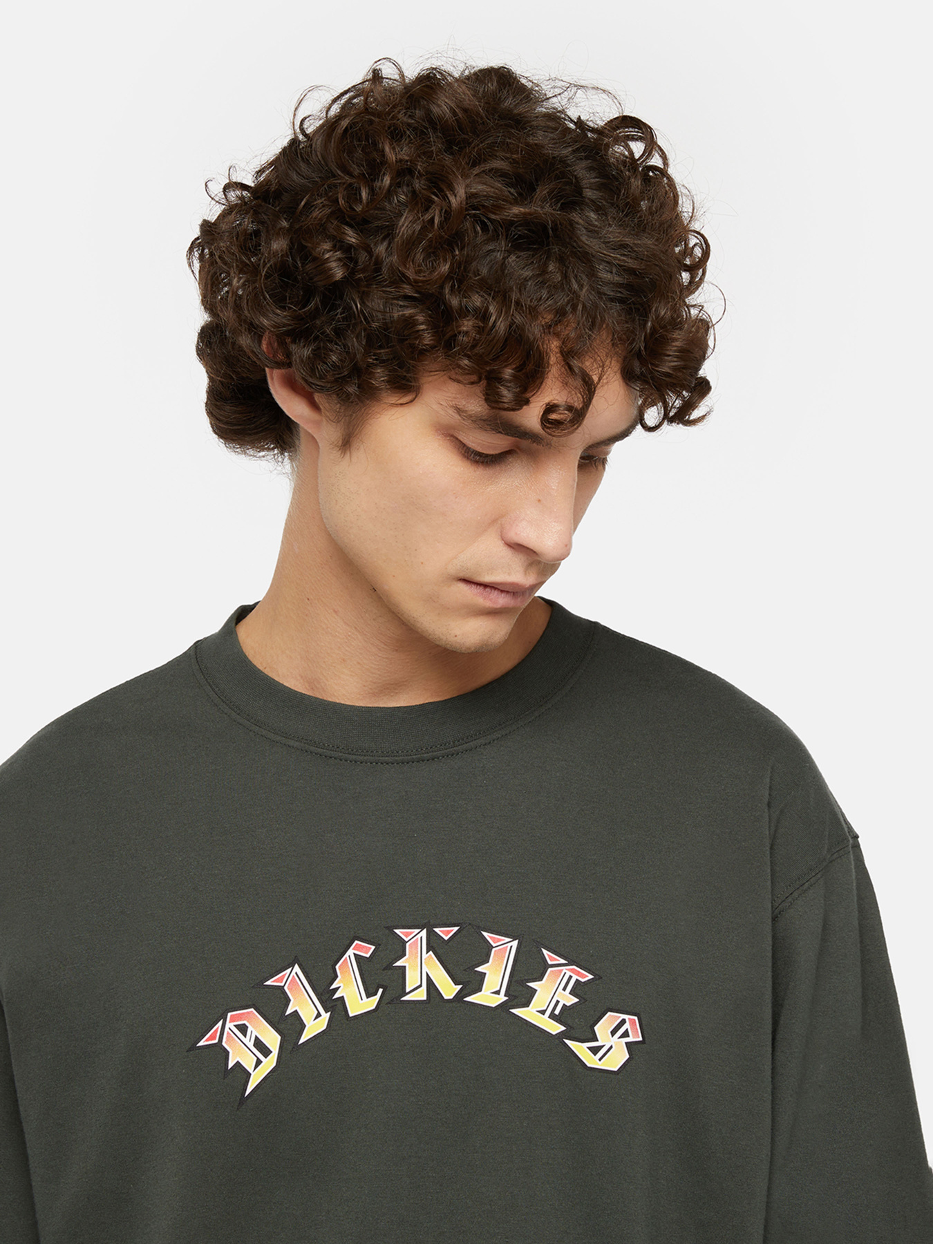 Лонгслив Dickies x Spitfire модель DK0A86640OG1 Лонгслив Dickies x Spitfire модель DK0A86640OG1 Фото