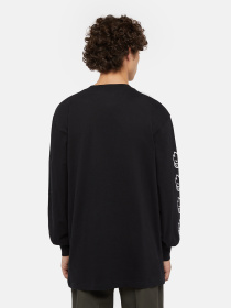 Лонгслив Dickies x Spitfire модель DK0A8664BLK1 Фото