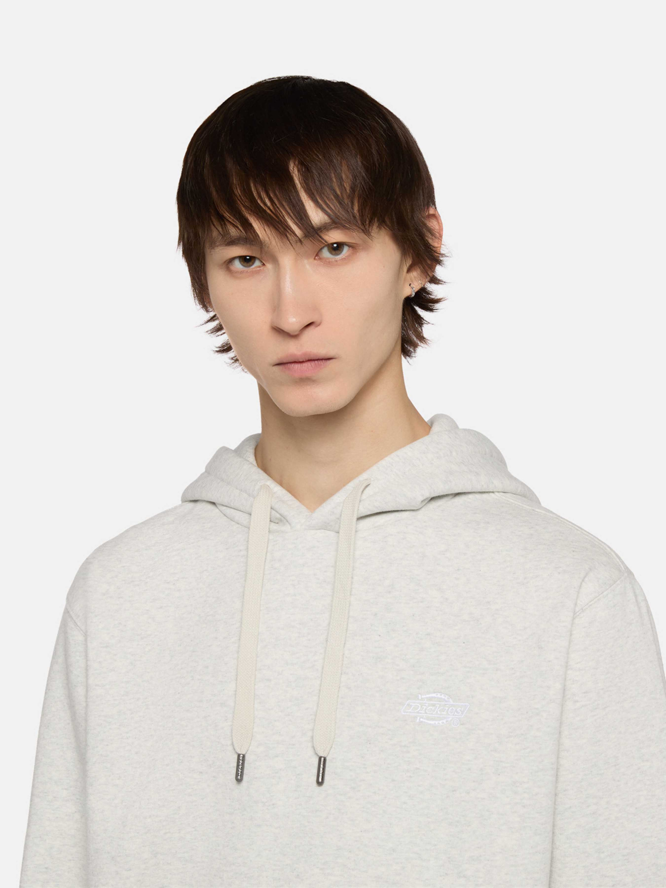 Худи Dickies Summerdale модель DK0A4Y6PA281 Фото