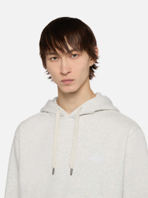 Худи Dickies Summerdale модель DK0A4Y6PA281 Фото