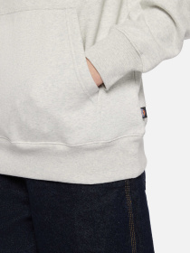 Худи Dickies Summerdale модель DK0A4Y6PA281 Фото