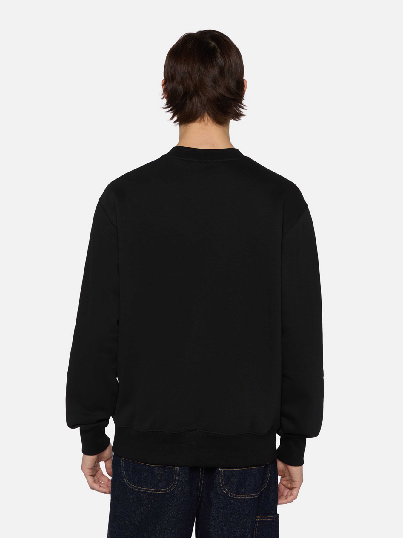 Свитшот Dickies Summerdale модель DK0A4Y6QBLK1 Фото