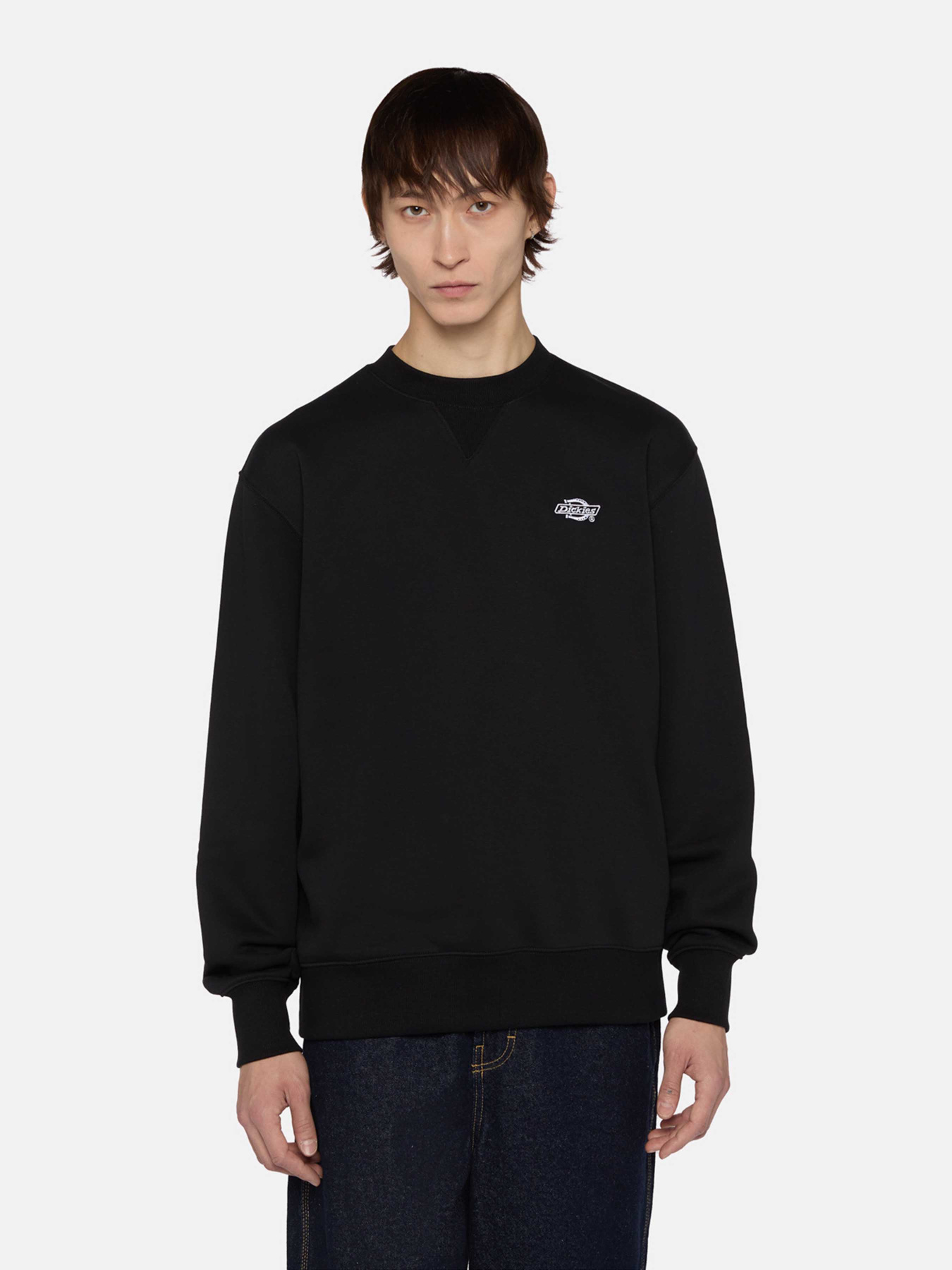 Свитшот Dickies Summerdale модель DK0A4Y6QBLK1 Фото