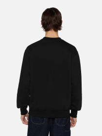 Свитшот Dickies Summerdale модель DK0A4Y6QBLK1 Фото