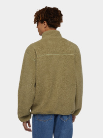 Кофта Dickies Mount Hope Quarter Zip модель DK0A4YEF0IP1 Фото