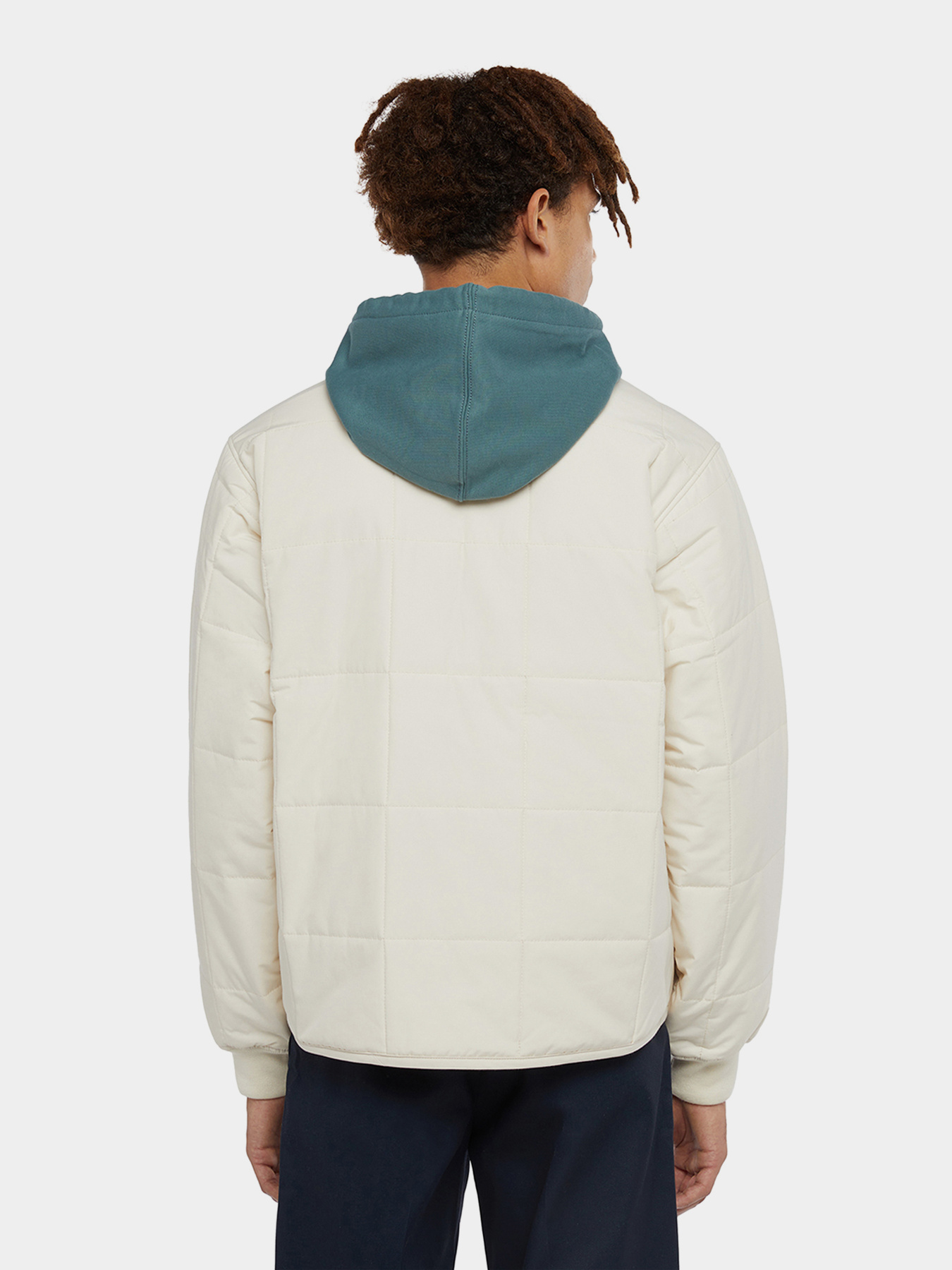 Демісезонна куртка Dickies Gardiner Liner модель DK0A4Z35F901 Фото