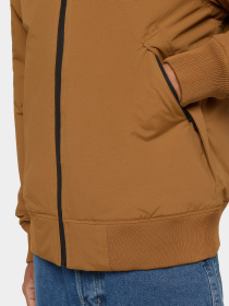 Демісезонна куртка Dickies New Sarpy модель DK0A4XG80BD1 Фото