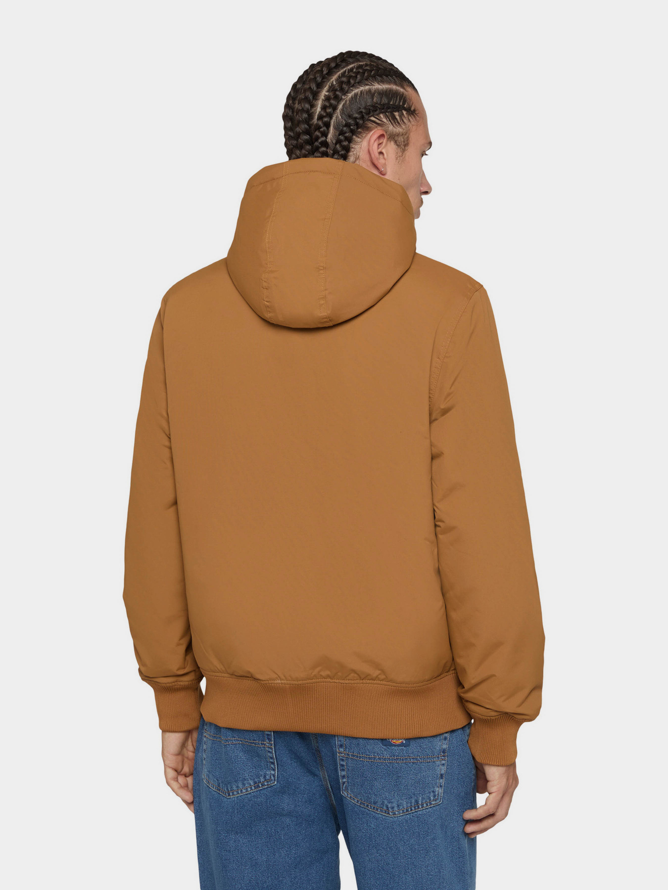 Демисезонная куртка Dickies New Sarpy модель DK0A4XG80BD1 Демисезонная куртка Dickies New Sarpy модель DK0A4XG80BD1 Фото