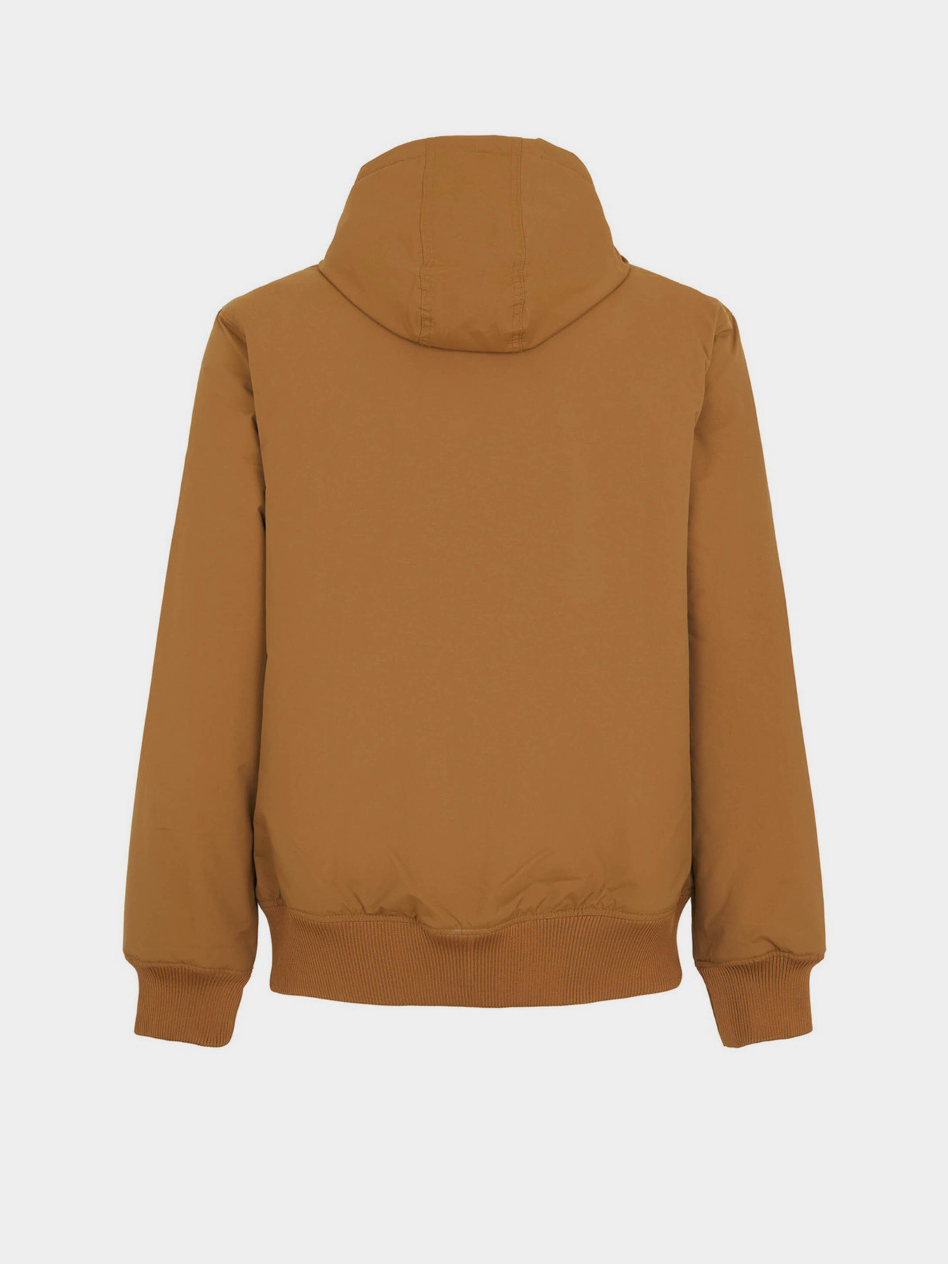 Демисезонная куртка Dickies New Sarpy модель DK0A4XG80BD1 Демисезонная куртка Dickies New Sarpy модель DK0A4XG80BD1 Фото