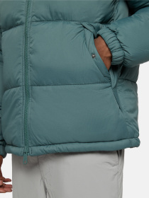 Зимова куртка Dickies Waldenburg модель DK0A4XP20LN1 Фото