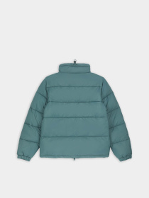 Зимова куртка Dickies Waldenburg модель DK0A4XP20LN1 Фото