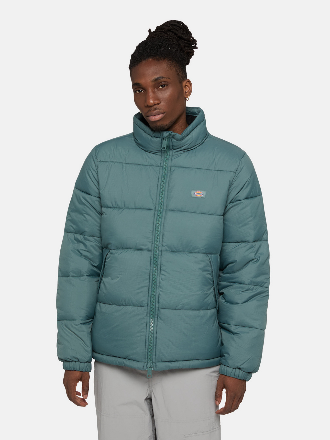 Зимова куртка Dickies Waldenburg модель DK0A4XP20LN1 Фото