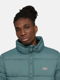 Зимова куртка Dickies Waldenburg модель DK0A4XP20LN1 Фото