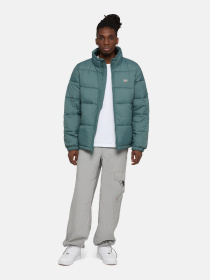 Зимова куртка Dickies Waldenburg модель DK0A4XP20LN1 Фото