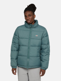 Зимова куртка Dickies Waldenburg модель DK0A4XP20LN1 Фото