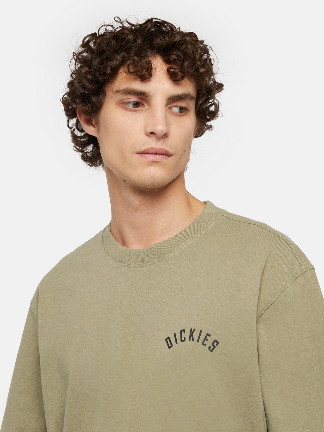 Футболка Dickies Panther модель DK0A4Z4I0IP1 Фото