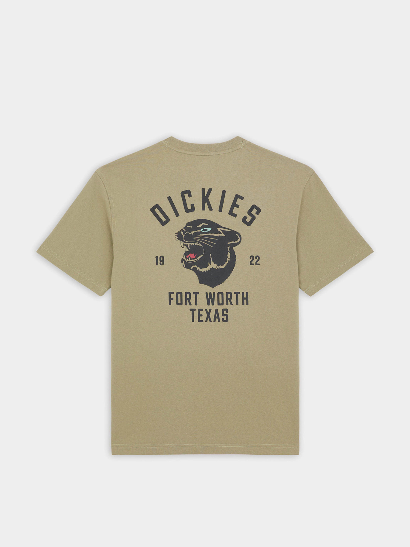 Футболка Dickies Panther модель DK0A4Z4I0IP1 Фото