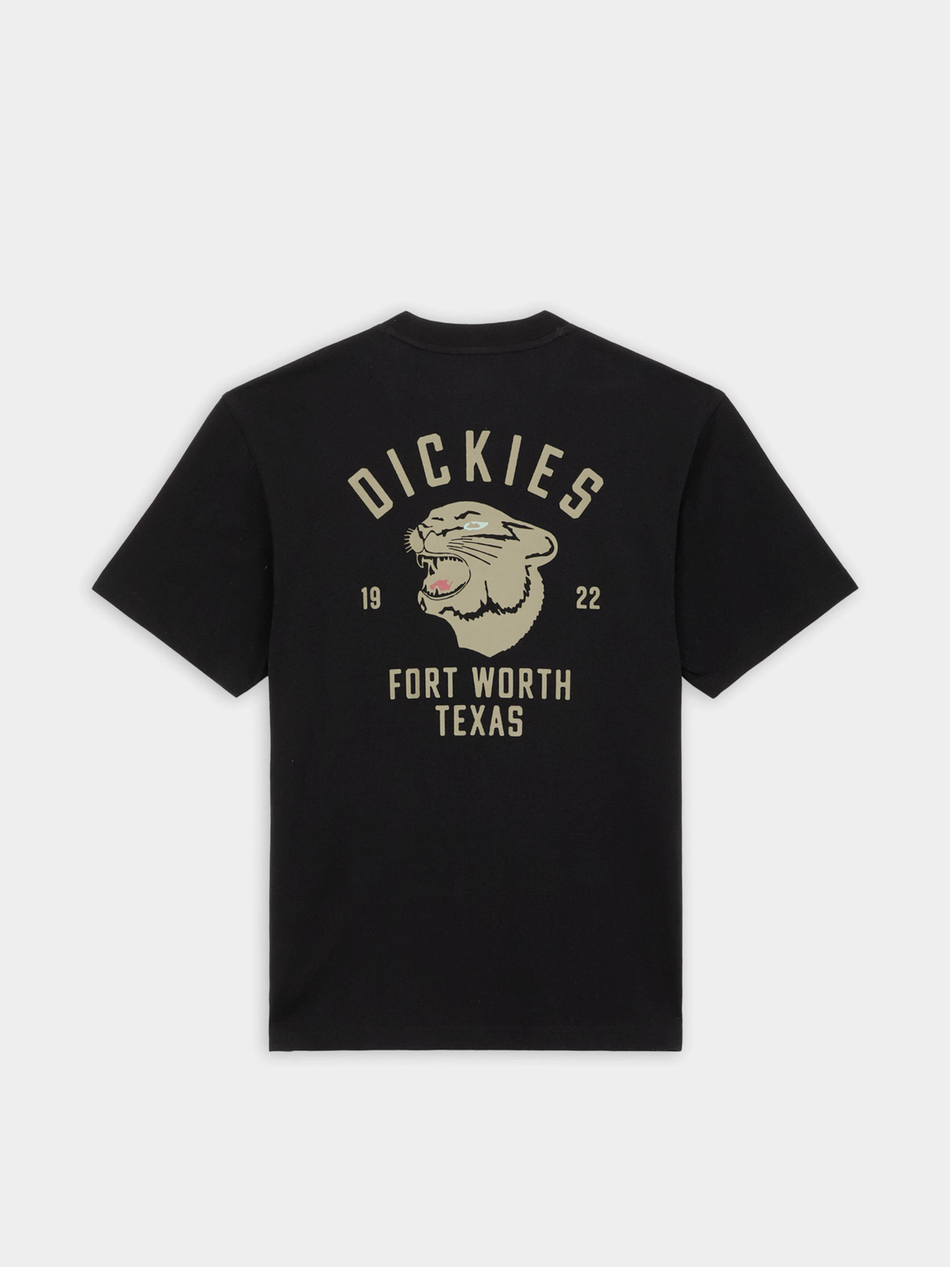 Футболка Dickies Panther модель DK0A4Z4IBLK1 Фото