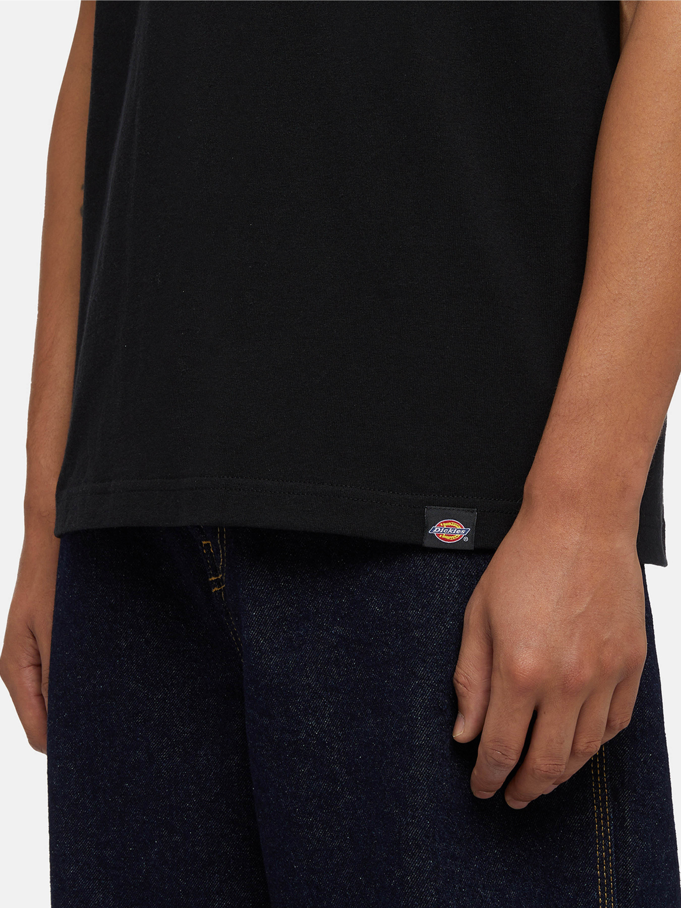 Футболка Dickies Panther модель DK0A4Z4IBLK1 Фото