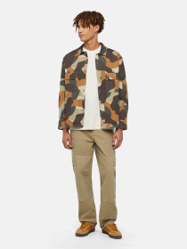 Сорочка Dickies Camo Canvas Work модель DK0A864U0IP1 Фото