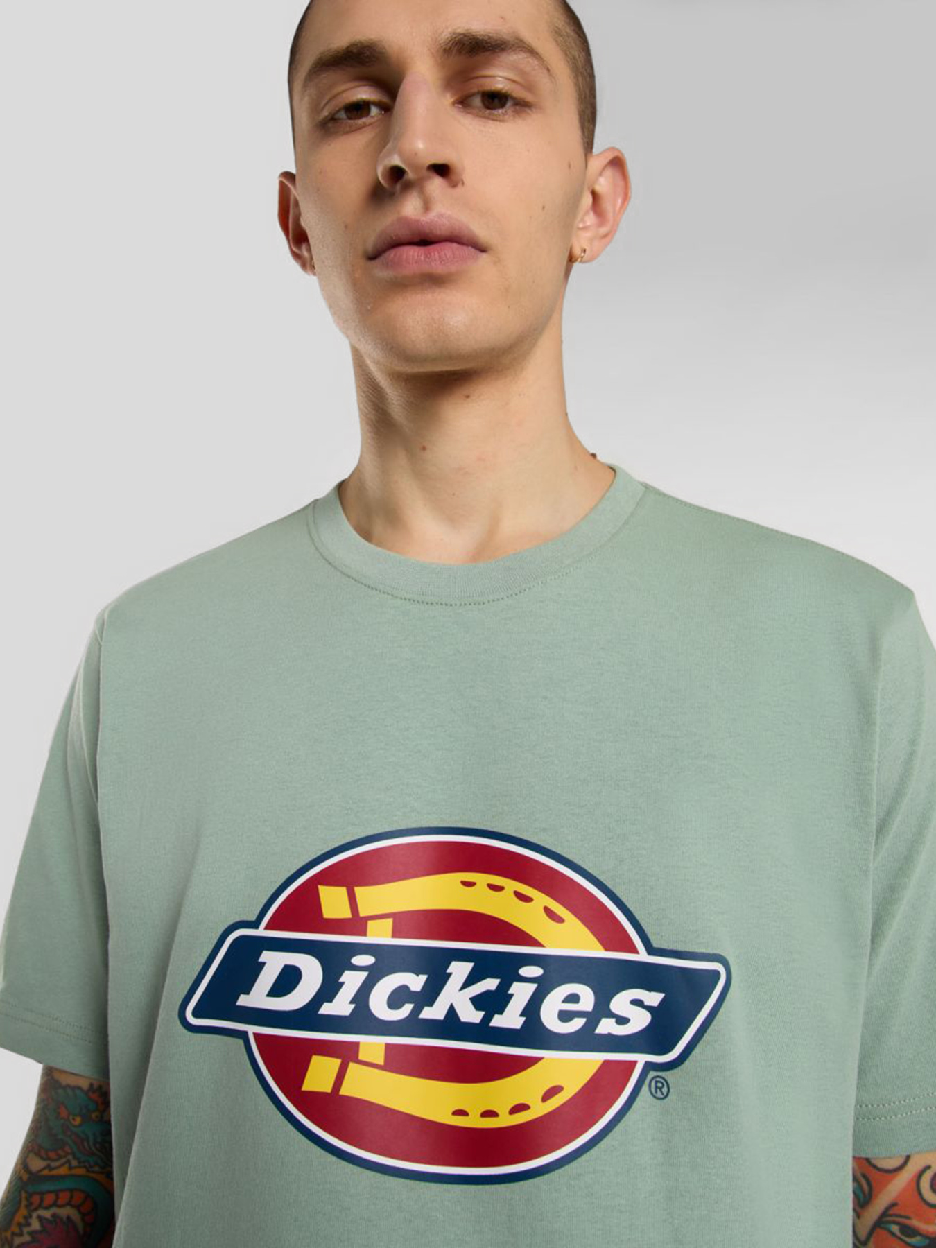 Футболка Dickies Icon Logo модель DK0A4XC9K361 Фото