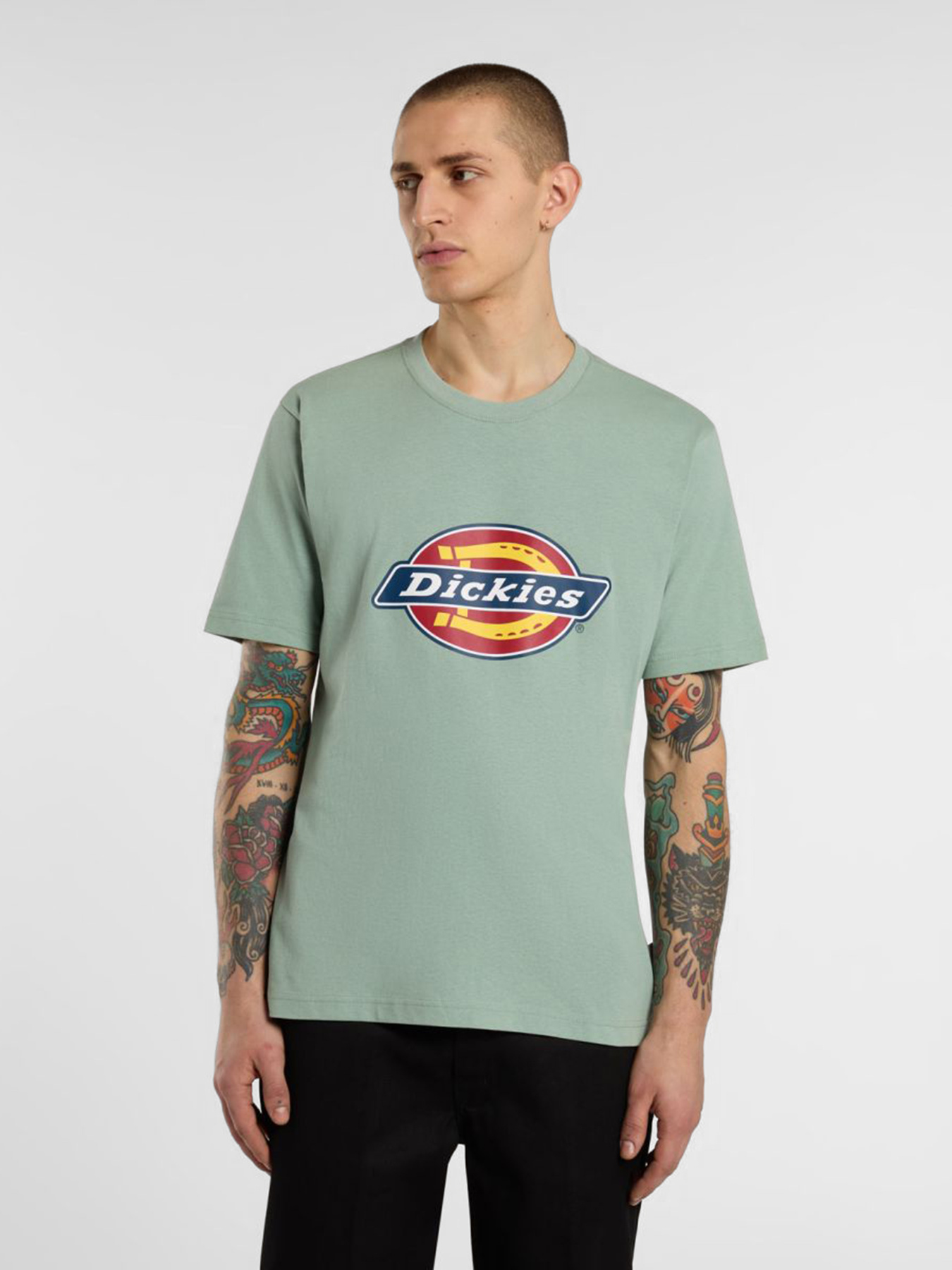Футболка Dickies Icon Logo модель DK0A4XC9K361 Фото