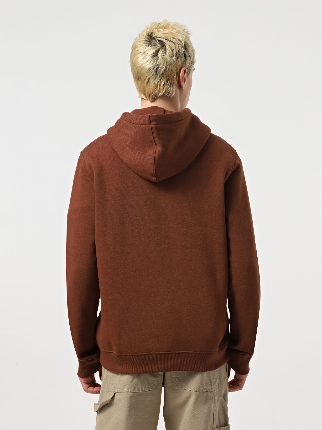 Худі Dickies Oakport модель DK0A4XCDK471 Фото