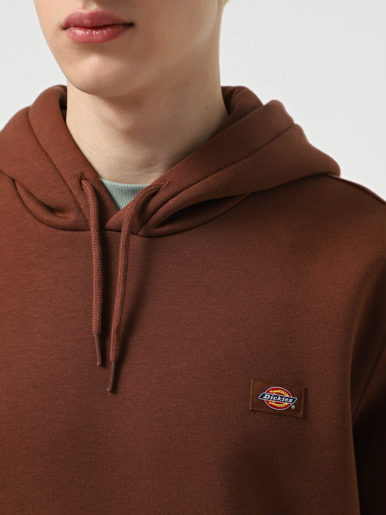 Худі Dickies Oakport модель DK0A4XCDK471 Фото