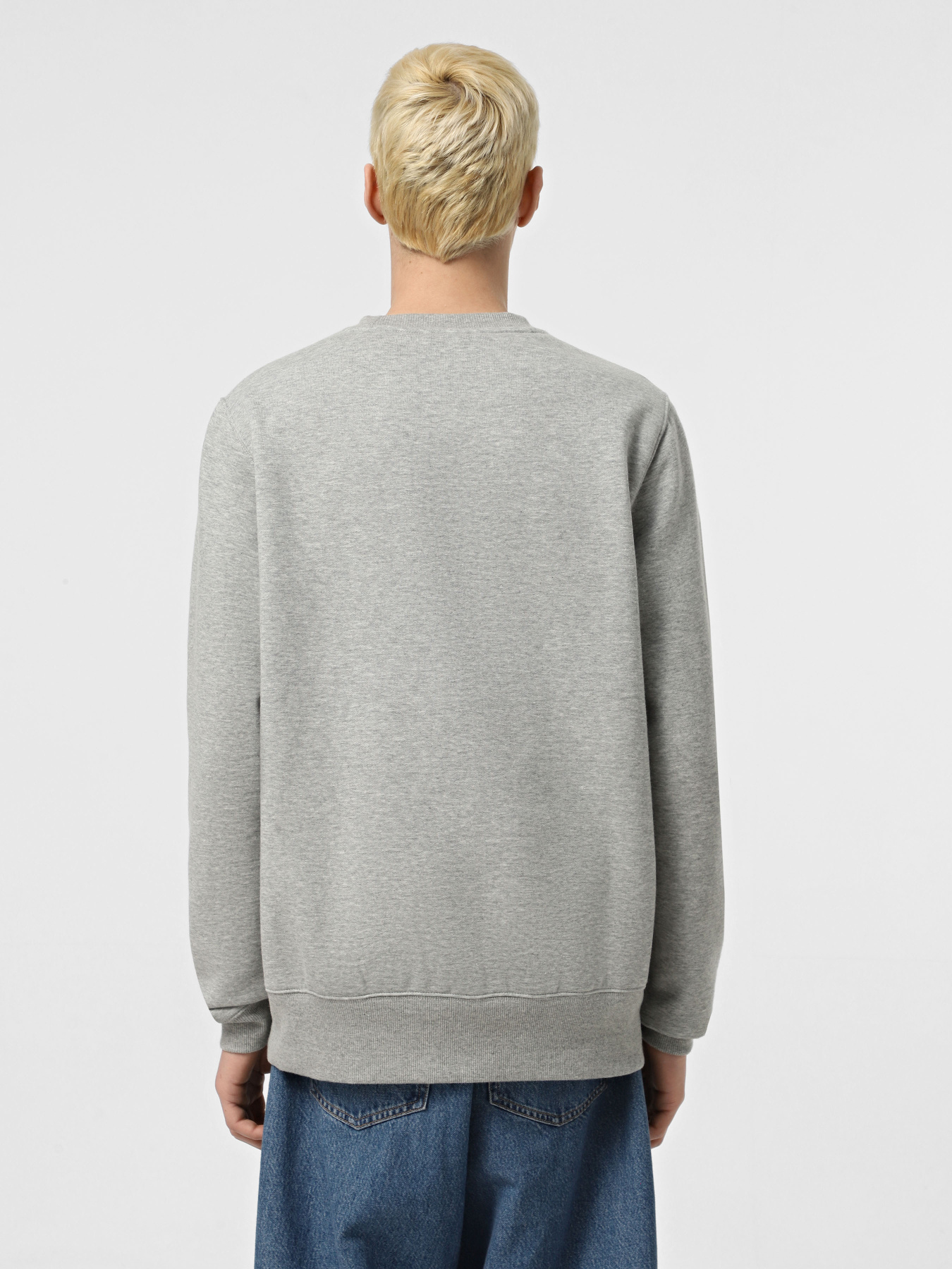 Свитшот Dickies Oakport Crew модель DK0A4XCEHG01 Фото