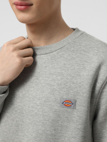 Світшот Dickies Oakport Crew модель DK0A4XCEHG01 Фото