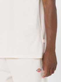 Футболка Dickies Mapleton модель DK0A4XDBF901 Фото