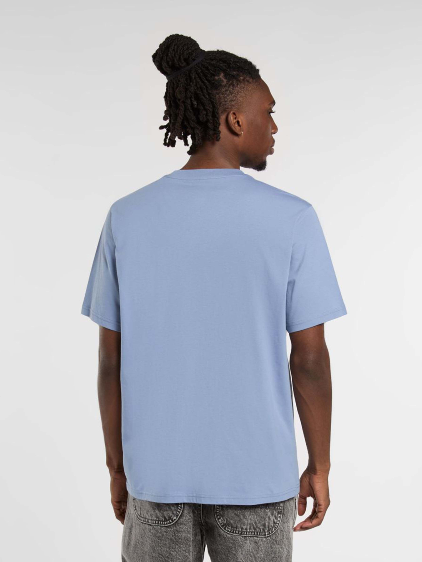 Футболка Dickies Mapleton модель DK0A4XDBK371 Фото