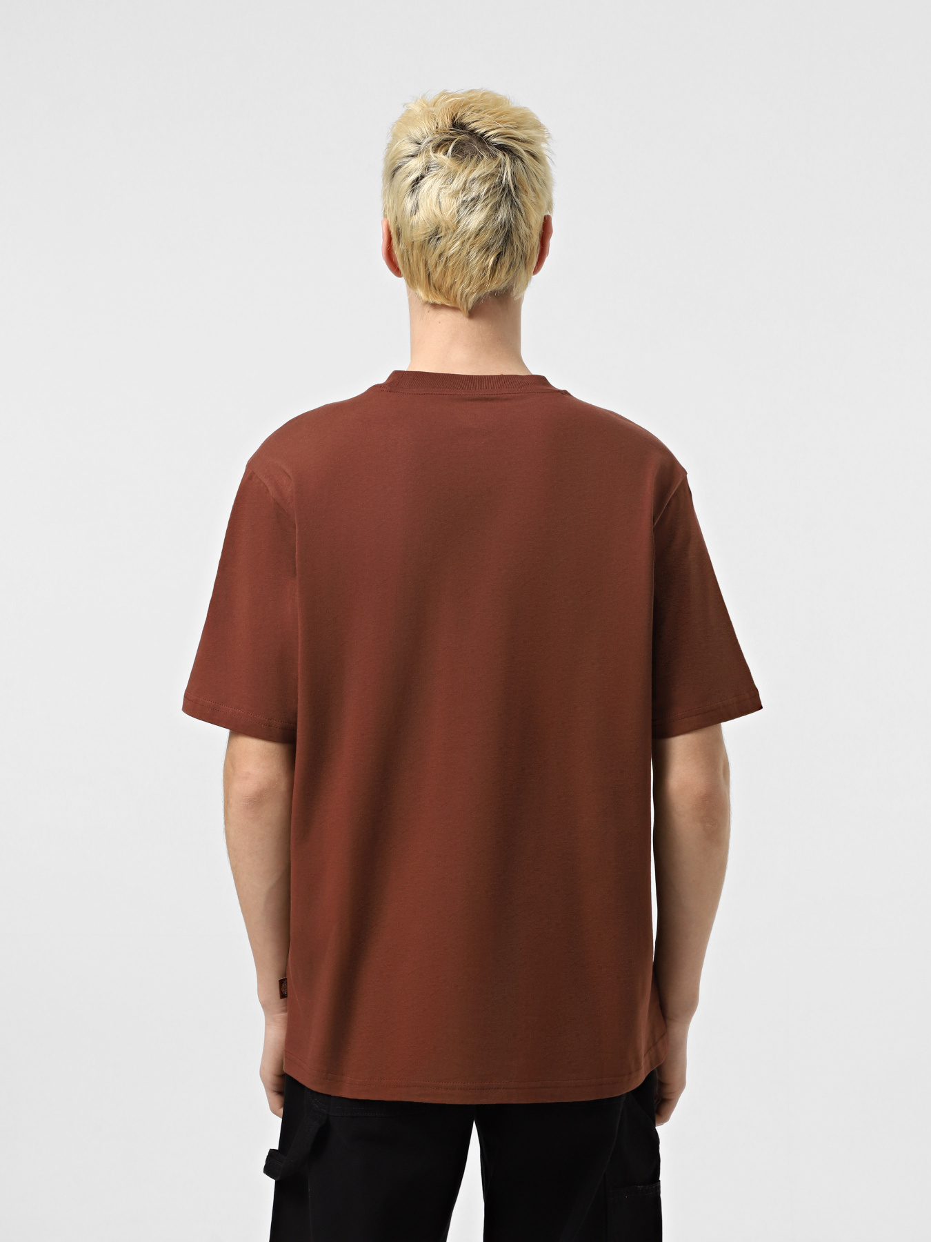 Футболка Dickies Mapleton модель DK0A4XDBK471 Фото