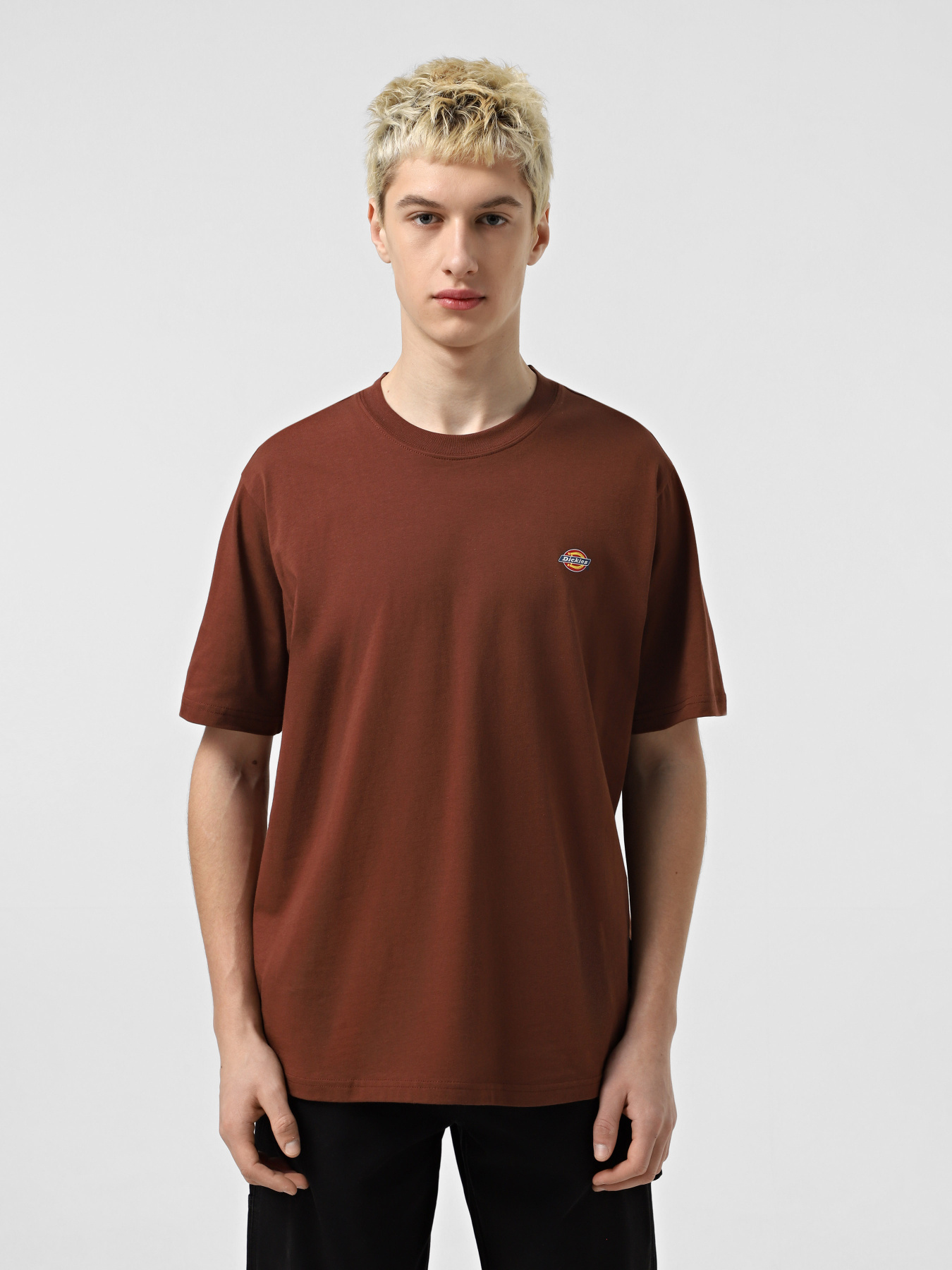 Футболка Dickies Mapleton модель DK0A4XDBK471 Фото