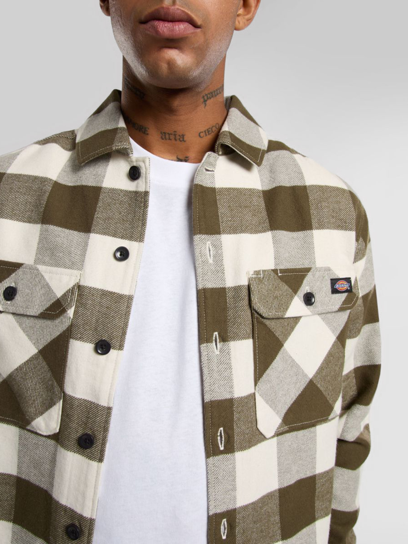 Сорочка Dickies Sacramento модель DK0A4XDZC481 Фото