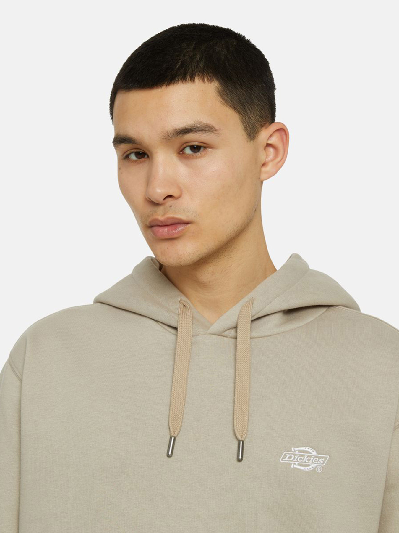 Худі Dickies Summerdale модель DK0A4Y6PSS01 Фото