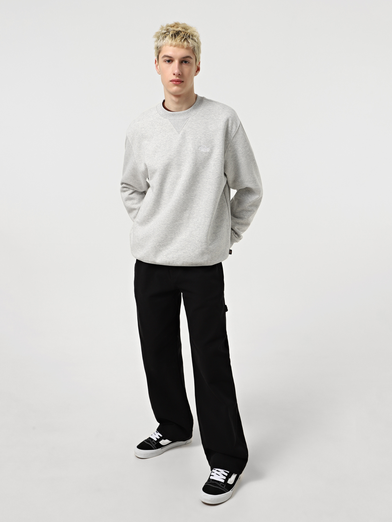 Свитшот Dickies Summerdale модель DK0A4Y6QA281 Фото