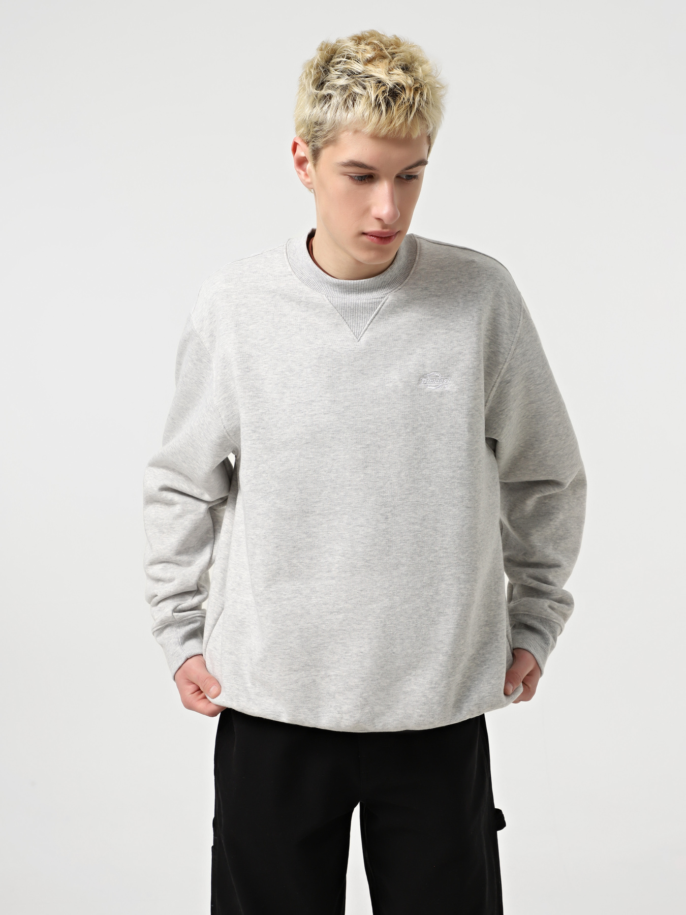 Свитшот Dickies Summerdale модель DK0A4Y6QA281 Фото