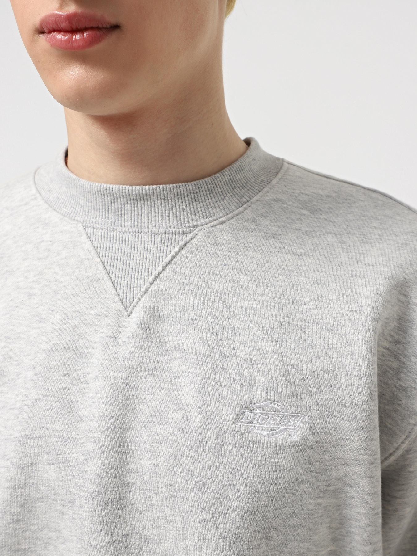 Світшот Dickies Summerdale модель DK0A4Y6QA281 Фото