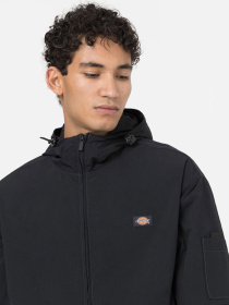 Вітровка Dickies Jackson модель DK0A4Y6XBLK1 Фото