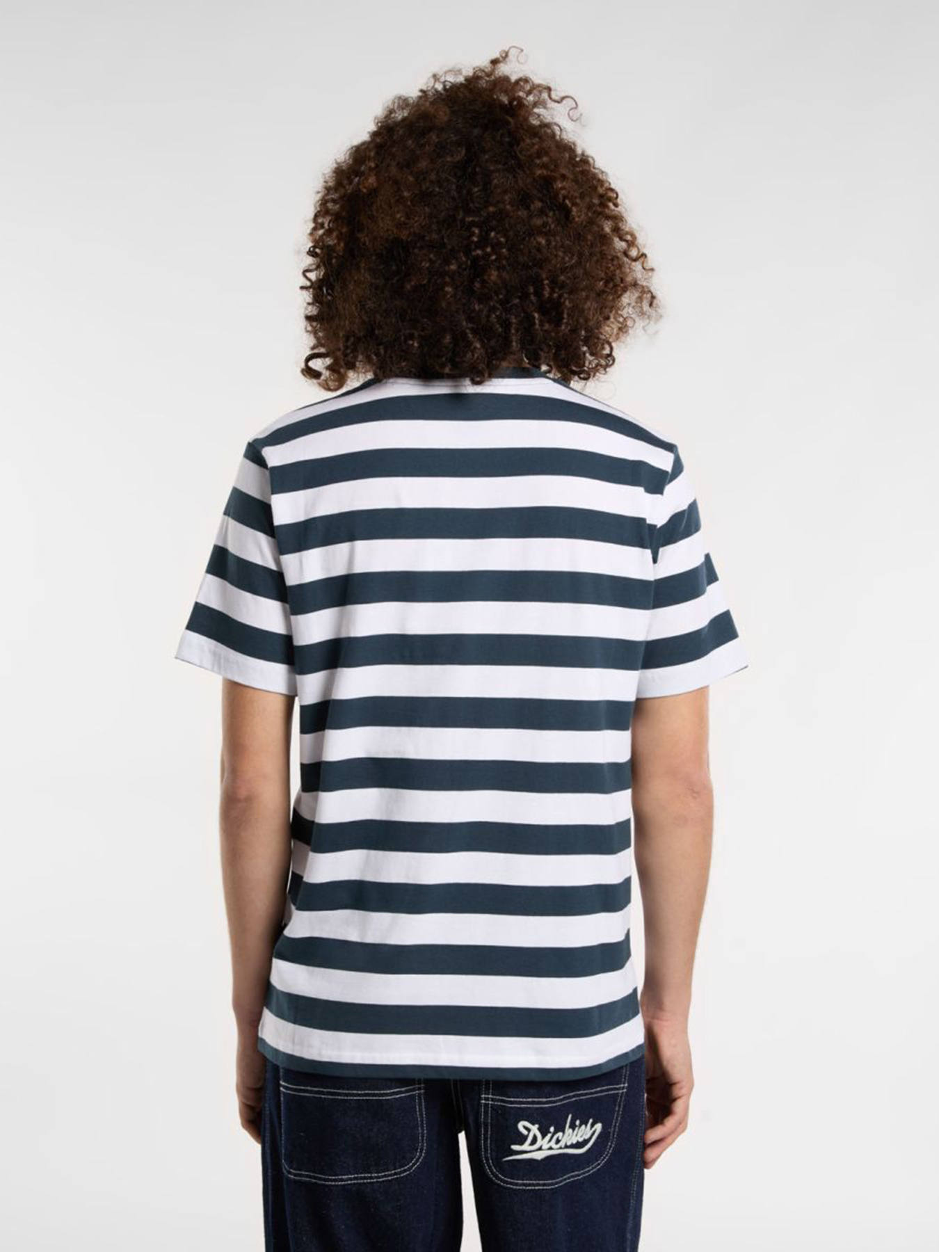 Футболка Dickies Rivergrove модель DK0A4Y8YAF01 Фото