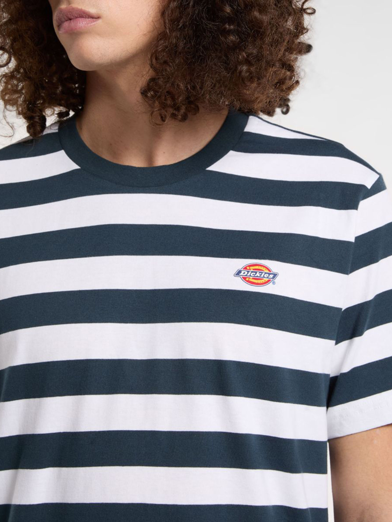 Футболка Dickies Rivergrove модель DK0A4Y8YAF01 Футболка Dickies Rivergrove модель DK0A4Y8YAF01 Фото