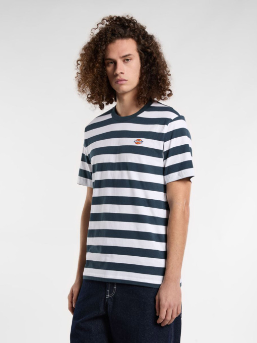 Футболка Dickies Rivergrove модель DK0A4Y8YAF01 Фото