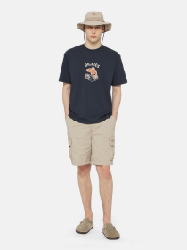 Шорти Dickies Jackson модель DK0A4YACSS01 Фото