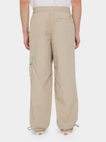 Карго Dickies Jacskon модель DK0A4YLXSS01 Фото